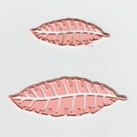 Лезвие Joy Crafts - Cutting and Embossing Die - Small Leaves
