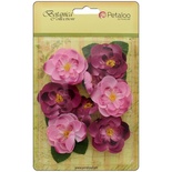 Набор цветов Petaloo - Botanica Ranunculus - Fuchsia