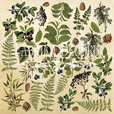 Лист для вырезания №2 Botany summer (eng.), ТМ Фабрика Декору