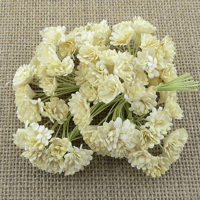 Гипсофила от Thailand - DEEP IVORY, 10 шт