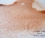 Краска-спрей 13arts - Ayeeda Mist - Pearl Brown Light