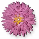 Лезвие от Cheery Lynn Designs - Chrysanthemum Strip - B311