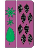 Лезвие от Cheery Lynn Designs - Build a Flower #1 Petals & Leaves - B181B