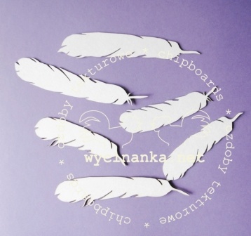Чипборд от Wycinanka - Перышки, 6 эл., 7-9 см