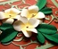 Лезвие Frangipani with Leaves от Cheery Lynn Designs