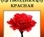 Набор тутовой бумаги для создания цветов - гвоздика красная