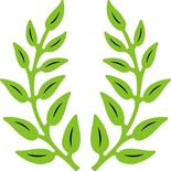 Набор лезвий Olive Branches  от Cheery Lynn Designs