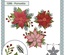 Karen Burniston Dies - Poinsettia