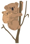 Koala Bear  от Cheery Lynn Designs, 3 шт.