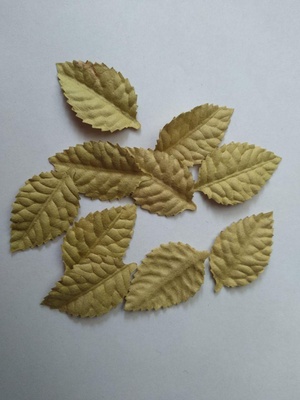 Листики, цвет кремовый, 40х25мм, 10 шт.