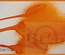 Краска-спрей 13arts - Ayeeda Mist - Pearl Orange