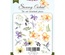 Набор высечек, коллекция Sunny Orchid, 49 шт., ТМ Фабрика Декора
