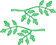 Ножи от Cheery Lynn Designs - Branch, 2 шт