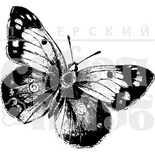Прозрачный фотополимерный штамп для скрапбукинга от ПСК "Бабочка 1"