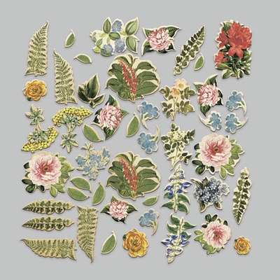 Набір висічок Summer botanical story, 47 шт, ТМ Фабрика Декору