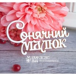 Чипборд ScrapBox - надпись Сонячний малюк Hi-240
