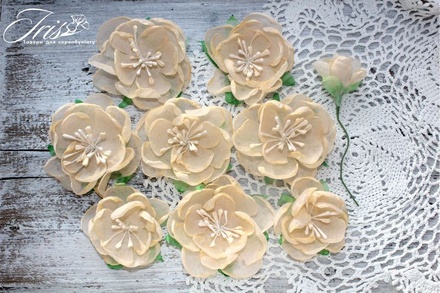 Набор цветов Royalty flowers Нежный персик, ТМ Iris, 9 шт