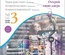 Журнал "Скрап-инфо" - Осенние истории, тема антикризисного скрапбукинга - №3-2016