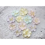 Набор цветов TM Iris - Denise Baby Shabby, 12 шт