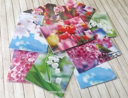 Карточки на плотном картоне от Евгения Курдибановская ТМ - "Весна", 5х7 см, 10 штук