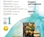 Журнал "Скрап-инфо" №1-2013