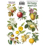 Набор наклеек (стикеров) 9 шт Botany exotic 205, ТМ Фабрика Декора