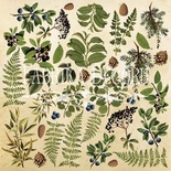 Лист для вырезания №2 Botany summer (eng.), ТМ Фабрика Декору
