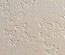 Дизайнерський картон з тисненням у метелики Astrosilver farfalle, 30х30 см, білий, 220 г/м2, 1 шт.