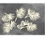 Набор чипбордов Winter botanical diary 759, 10х15 см, цвет молочный, ТМ Фабрика Декора