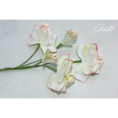 Набор цветов TM Iris - Vanille flowers Оттенки весны, цвет кремово-розовый, 5 шт