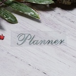 Термонадпись "Planner" №4, серебро, 55х14мм