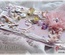 Лезвие Crafty Ann - Border 1