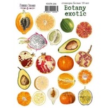 Набор наклеек (стикеров) 19 шт Botany exotic 206, ТМ Фабрика Декора