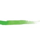 Краска концентрированная Prima Marketing Art Philosophy Watercolor Concentrate - Moss, 15 мл