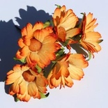 Оранжевые ромашки, 5 шт.