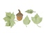 Набор лезвий Dimensional Small Leaves #2 от Cheery Lynn Designs, 5 шт.
