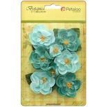Набор цветов Petaloo - Botanica Ranunculus - Teal