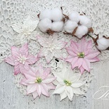 Набор цветов TM Iris - Cortez Pink and white, 9 шт