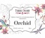 Набор открыток для раскрашивания маркерами Orchid, ТМ Фабрика Декора