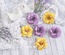 Набор цветов Freetany Flowers – Крокусы