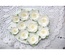 Набор цветов TM Iris - Dessert Нежный белый, 25-45 мм, 10 шт