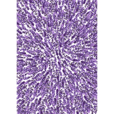 Оверлей Lavender Provence, ТМ Фабрика Декору