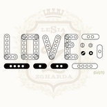 Набор акриловых штампов Lesia Zgharda SV070 LOVE, 14 штук