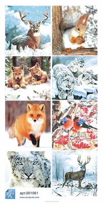 Набор бумаги от Евгения Курдибановская ТМ - Winter,  30х30 см, 8+2 листов