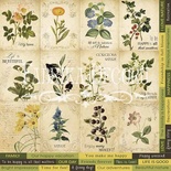 Карточки Botany summer (eng.), ТМ Фабрика Декору