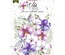Набор высечек, коллекция Wild Orchid, 49 шт., ТМ Фабрика Декора