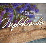 Чипборд ScrapBox - Надпись Первоклашка Hi-296