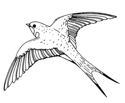 Акриловый штамп Swallow Ласточка, размер 5,2 * 4,3 см