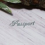 Термонадпись "Passport" №5, серебро