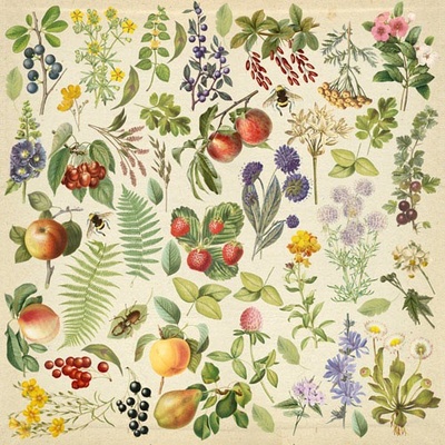Лист с картинками для вырезания Summer botanical diary 30,5х30,5 см, ТМ Фабрика Декора